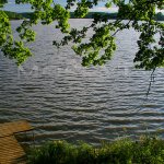 Spolský rybník - Třeboňsko