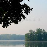 Opatovický rybník - Třeboňsko