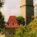 hrad Zvíkov