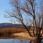 Vltavský luh - Šumava