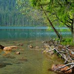Černé jezero Černé jezero