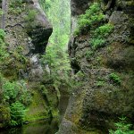 Adršpašské skalní město Adršpašské skalní město