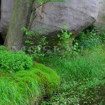 Adršpašské skalní město Adršpašské skalní město