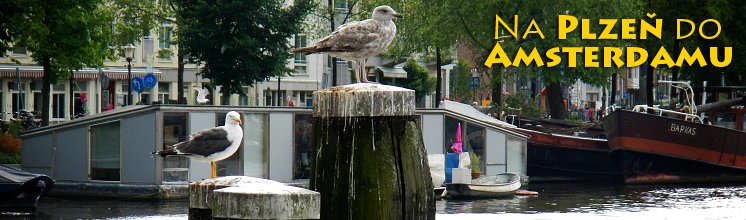 Na Plzeň do Amsterdamu Na Plzeň do Amsterdamu