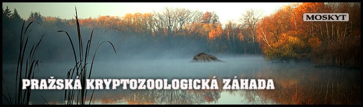 Milíčovský Lesatáta Milíčovský Lesatáta