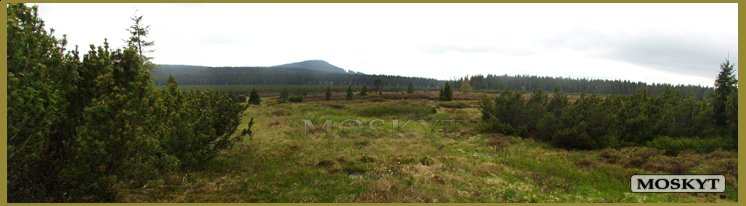 Jezerní slať - panorama Jezerní slať - panorama