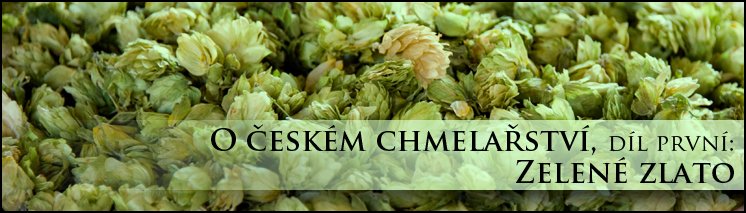 Chmel: Chmelařství včera, dnes a zítra (1. díl) Chmel: Chmelařství včera, dnes a zítra (1. díl)