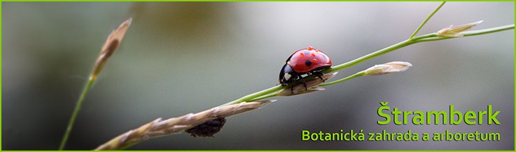 Stramberk Stramberk - botanicka zahrada