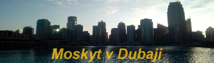 Moskyt v Dubaji Moskyt v Dubaji