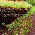 zpevněná cesta na vrchol bečovského šibeničního vrchu