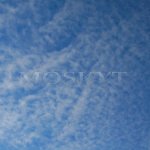 cirrocumulus