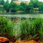 hrad Zvíkov na soutoku Otavy a Vltavy
