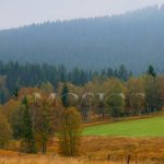Šumava u Kvildy