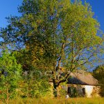 Christlhof