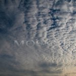 Altocumulus