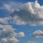 Cumulus