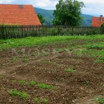 Kopanice - Žítková