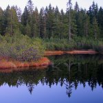 Šumava