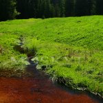 Šumava