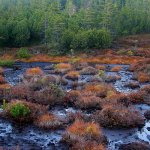 Šumava