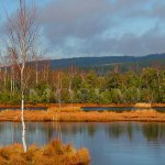 Šumava