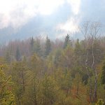 Šumava