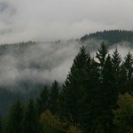 Šumava