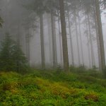 Šumava