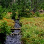 Šumava