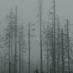 Šumava
