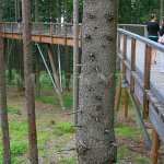 Stezka korunami stromů Stezka korunami stromů