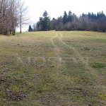 šibeniční vrch - Přimda šibeniční vrch - Přimda