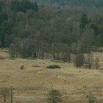 údolí Nemanického potoka údolí Nemanického potoka