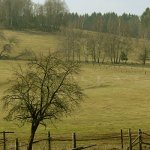 Lučina, Grafenried Lučina, Grafenried