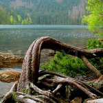 Černé jezero Černé jezero