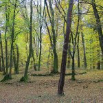 pohled na obě spirály z východní rampy pohled na obě spirály z východní rampy