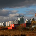 Milíčovský les sousedí se sídlištěm Milíčovský les sousedí se sídlištěm