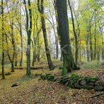 západní a spirála a druhý stupeň spirály východní západní a spirála a druhý stupeň spirály východní