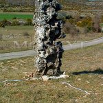 menhir Les Tombes na průsečíku linií (Jižní Francie) menhir Les Tombes na průsečíku linií (Jižní Francie)