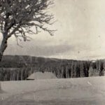 Zlatá Studna (1950) Zlatá Studna (1950)