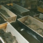 Vamberecké mumie v broumovské kryptě Vamberecké mumie v broumovské kryptě