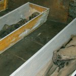 Vamberecké mumie v broumovské kryptě Vamberecké mumie v broumovské kryptě