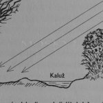 Kniha o orientaci v přírodě Kniha o orientaci v přírodě