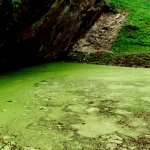 dodnes ústí nad jezírkem z plášťové zdi hradu malá dvířka dodnes ústí nad jezírkem z plášťové zdi hradu malá dvířka