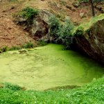 Jezírko krále Václava Jezírko krále Václava