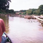 Proplouvání neregulovanou částí Moravy