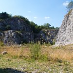 V Botanické zahradě a arboretu Štramberk V Botanické zahradě a arboretu Štramberk