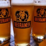 Beeranek ležák 11° Beeranek ležák 11°